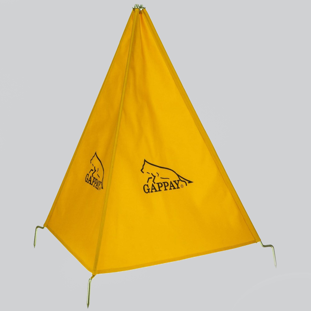 gappay20_0-1.jpg