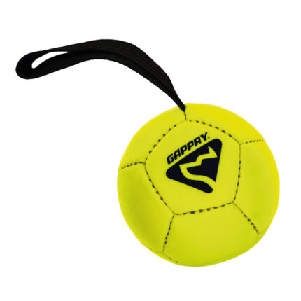 Köpek eğitim futbol topu